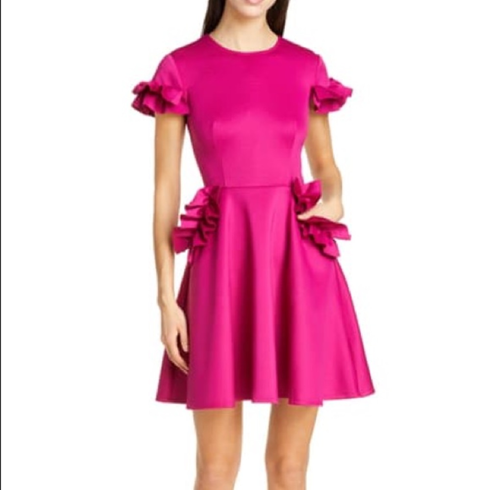 Ted Baker Ruffle Skater Dress Size 5 (14)